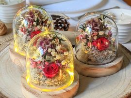 Mini cloche en verre avec fleurs séchées & fleurs stabilisées décoration d’intérieur pour Noël Gabrielle par Flora Paris