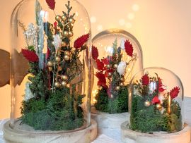 Cloche en verre avec fleurs stabilisées aux couleurs de Noël Jingle Bell par Flora Paris
