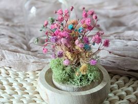 Mini cloche en verre avec gypsophile et lichen stabilisés Pepeta par Flora Paris
