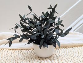 Mini composition minimaliste d’eucalyptus parvifolia vert Clara par Flora Paris