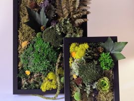 Tableau végétal en fleurs et plantes naturelles stabilisées Léandro par Flora Paris