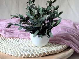 Mini composition minimaliste d’eucalyptus parvifolia vert Clara par Flora Paris