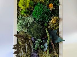 Tableau végétal en fleurs et plantes naturelles stabilisées Silva par Flora Paris