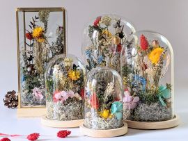 Cloche en verre avec fleurs séchées et préservées pour décoration d’intérieur ensoleillée Paula par Flora Paris