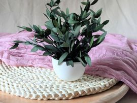 Mini composition minimaliste d’eucalyptus parvifolia vert Clara par Flora Paris