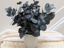 Composition d’eucalyptus cinerea stabilisé bleu Judy par Flora Paris