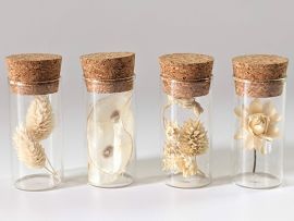Lot de 4 mini fioles de fleurs séchées et stabilisées Charmes par Flora Paris