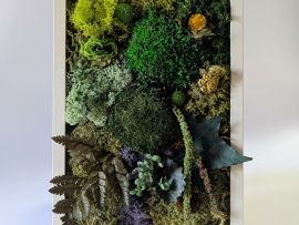 Tableau végétal en fleurs et plantes naturelles stabilisées Silva par Flora Paris