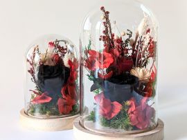 Cloche en verre et fleurs éternelles rouges et noires pour décoration d’intérieur Dita par Flora Paris