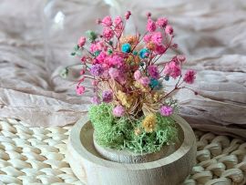 Mini cloche en verre avec gypsophile et lichen stabilisés Pepeta par Flora Paris