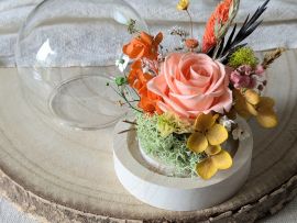 Mini cloche en verre avec rose éternelle & fleurs stabilisées Élodie par Flora Paris