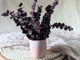 Composition d’eucalyptus baby stabilisé bordeaux Rama par Flora Paris