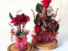 Cloche en verre avec fleurs éternelles pour décoration d’intérieur Bella par Flora Paris