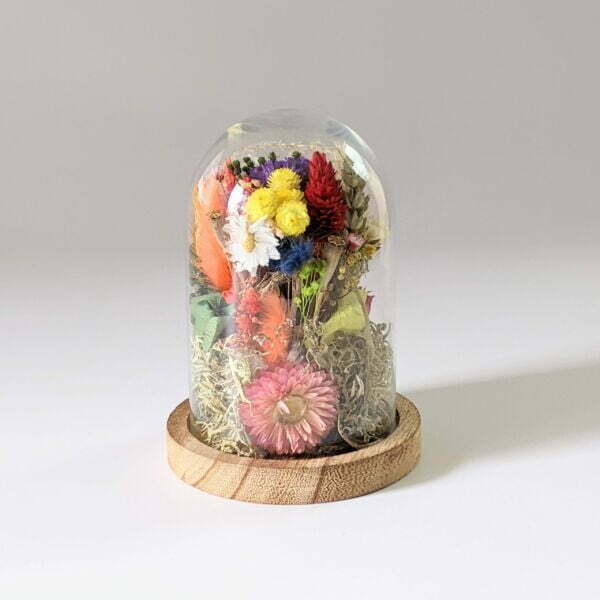 Cloche en verre de fleurs séchées et fleurs préservées pour décoration d’intérieur, Flora 3
