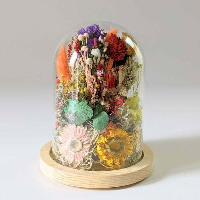 Cloche en verre de fleurs séchées et fleurs préservées pour décoration d’intérieur, Flora 2