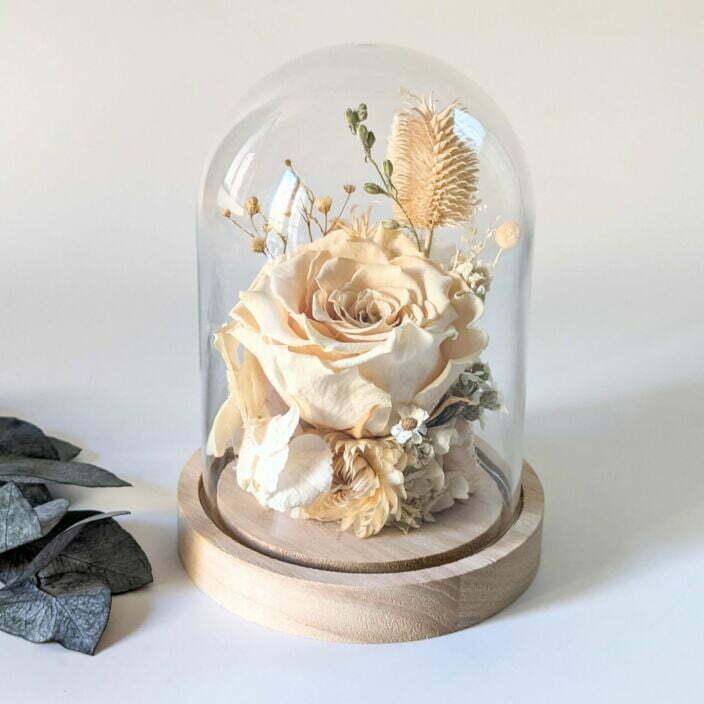 Cloche en verre et fleurs éternelles pour décoration d’intérieur, Véga