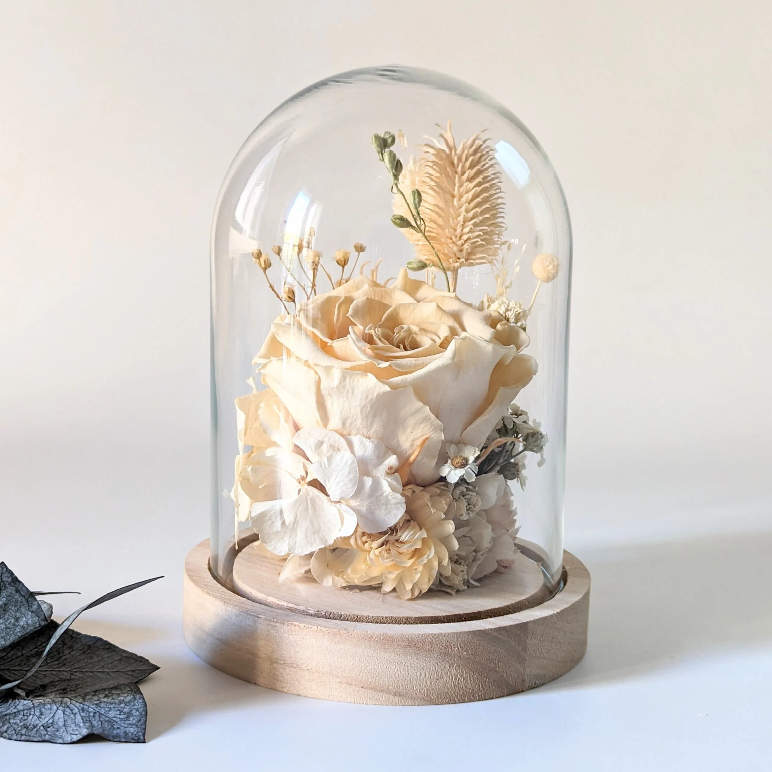 Cloche en verre et fleurs éternelles pour décoration d'intérieur, Véga – Image 2