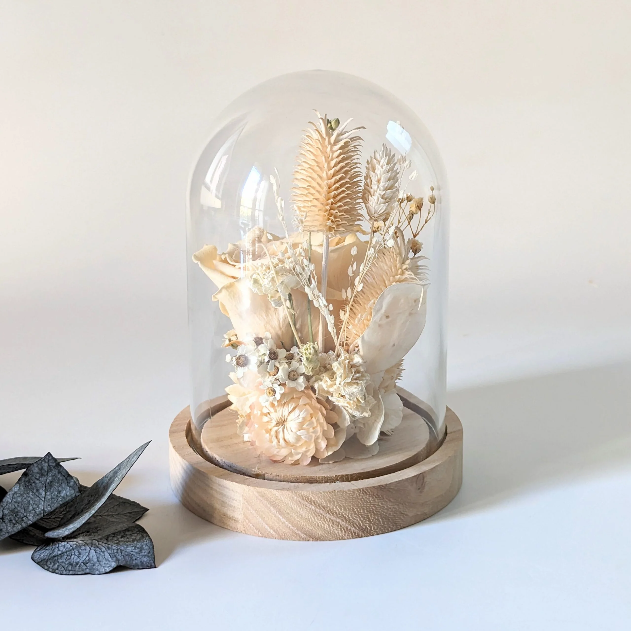 Cloche en verre et fleurs éternelles pour décoration d'intérieur, Véga – Image 3