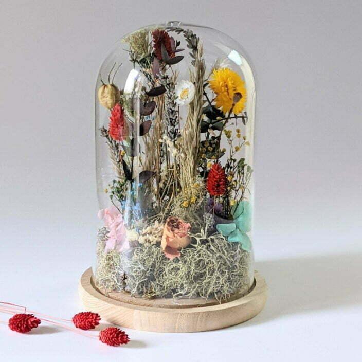 Cloche en verre avec fleurs séchées et préservées pour décoration d’intérieur ensoleillée, Paula 2