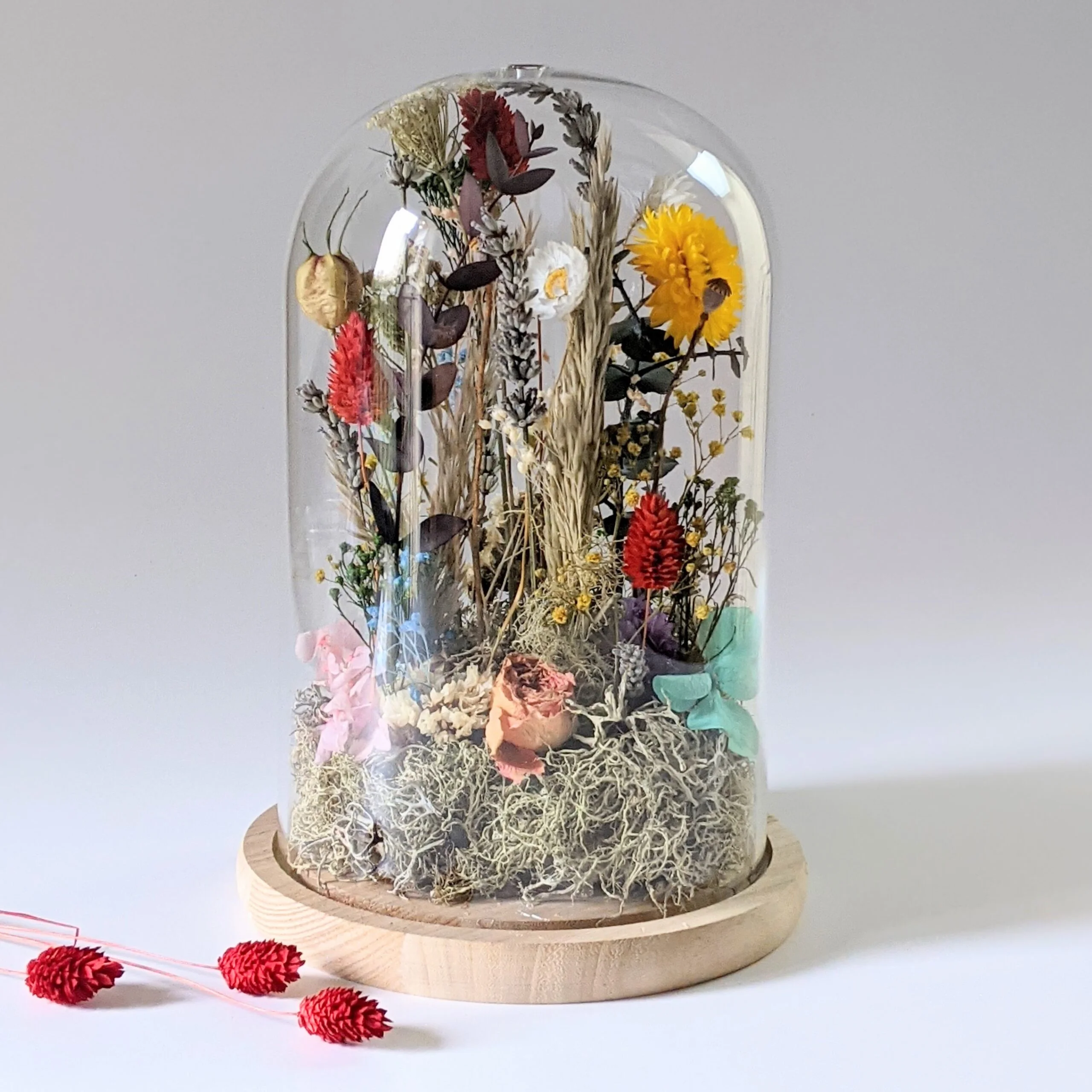 Cloche en verre avec fleurs séchées et préservées pour décoration d'intérieur ensoleillée, Paula – Image 2