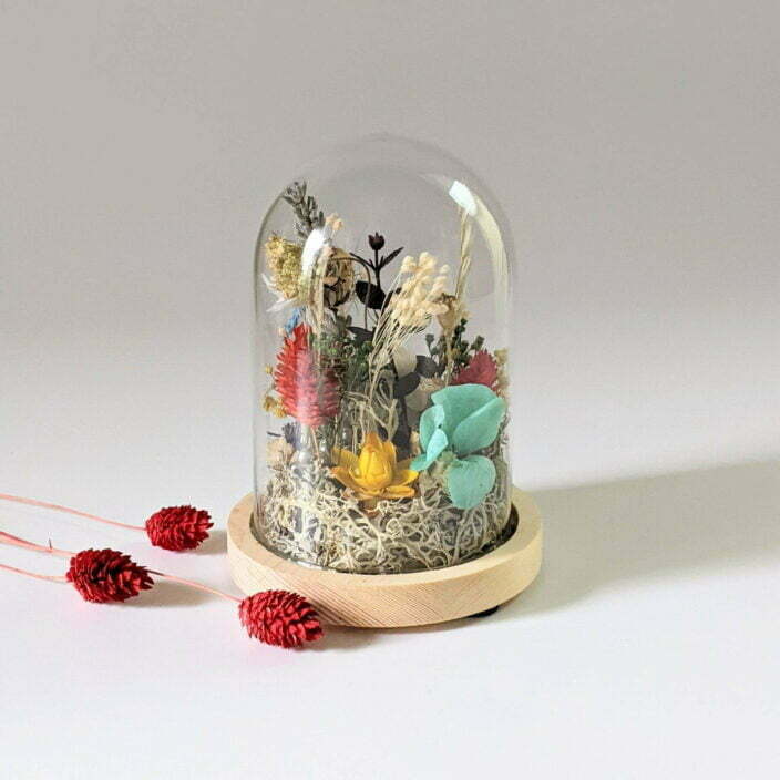 Cloche en verre avec fleurs séchées et préservées pour décoration d’intérieur ensoleillée, Paula 6