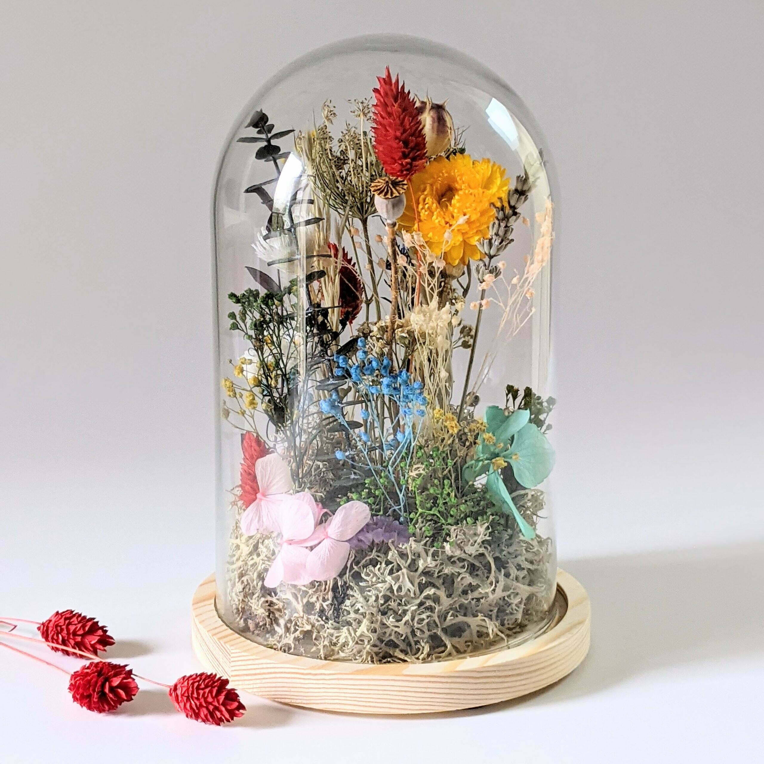 Cloche en verre avec fleurs séchées et préservées pour décoration  d'intérieur ensoleillée, Paula - Flora Paris