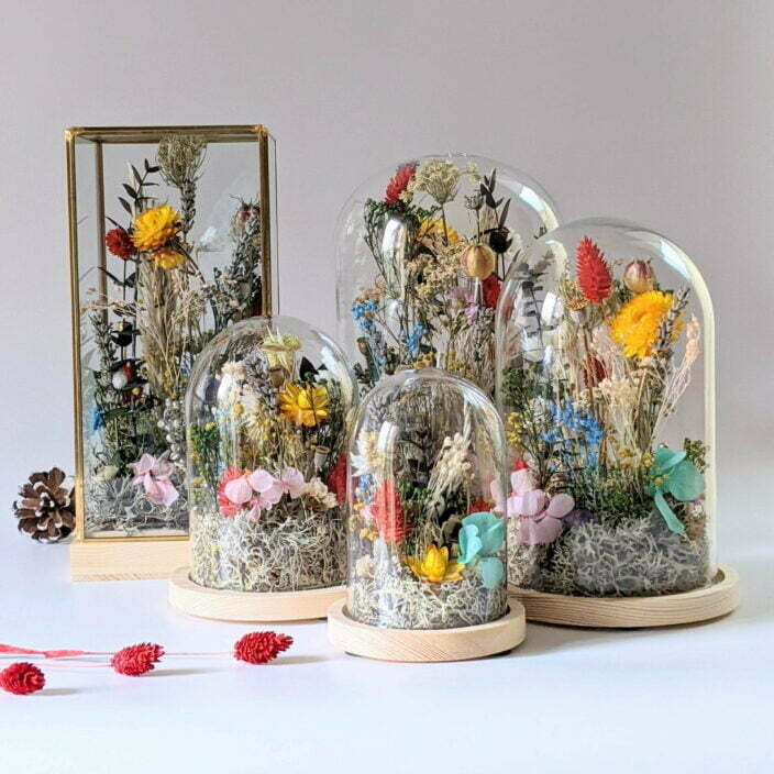 Cloche en verre avec fleurs séchées et préservées pour décoration d’intérieur ensoleillée, Paula