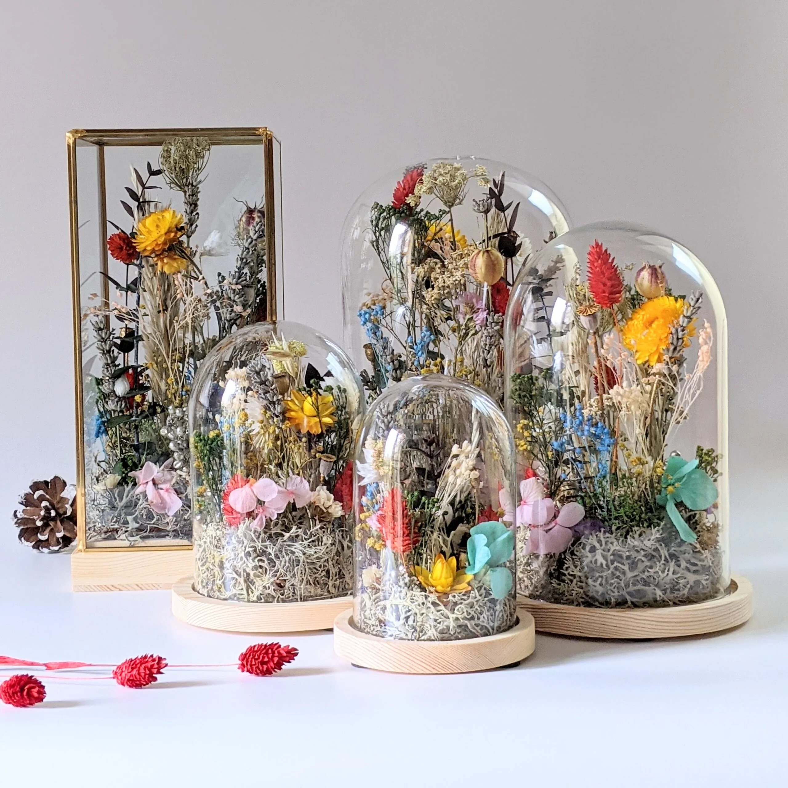 Cloche en verre avec fleurs séchées et préservées pour décoration d'intérieur ensoleillée, Paula