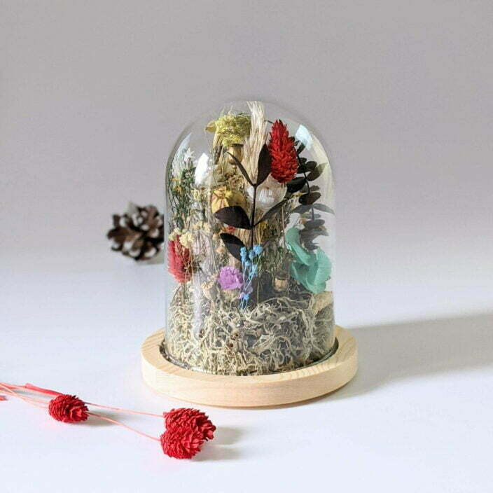Cloche en verre avec fleurs séchées et préservées pour décoration d’intérieur ensoleillée, Paula 5