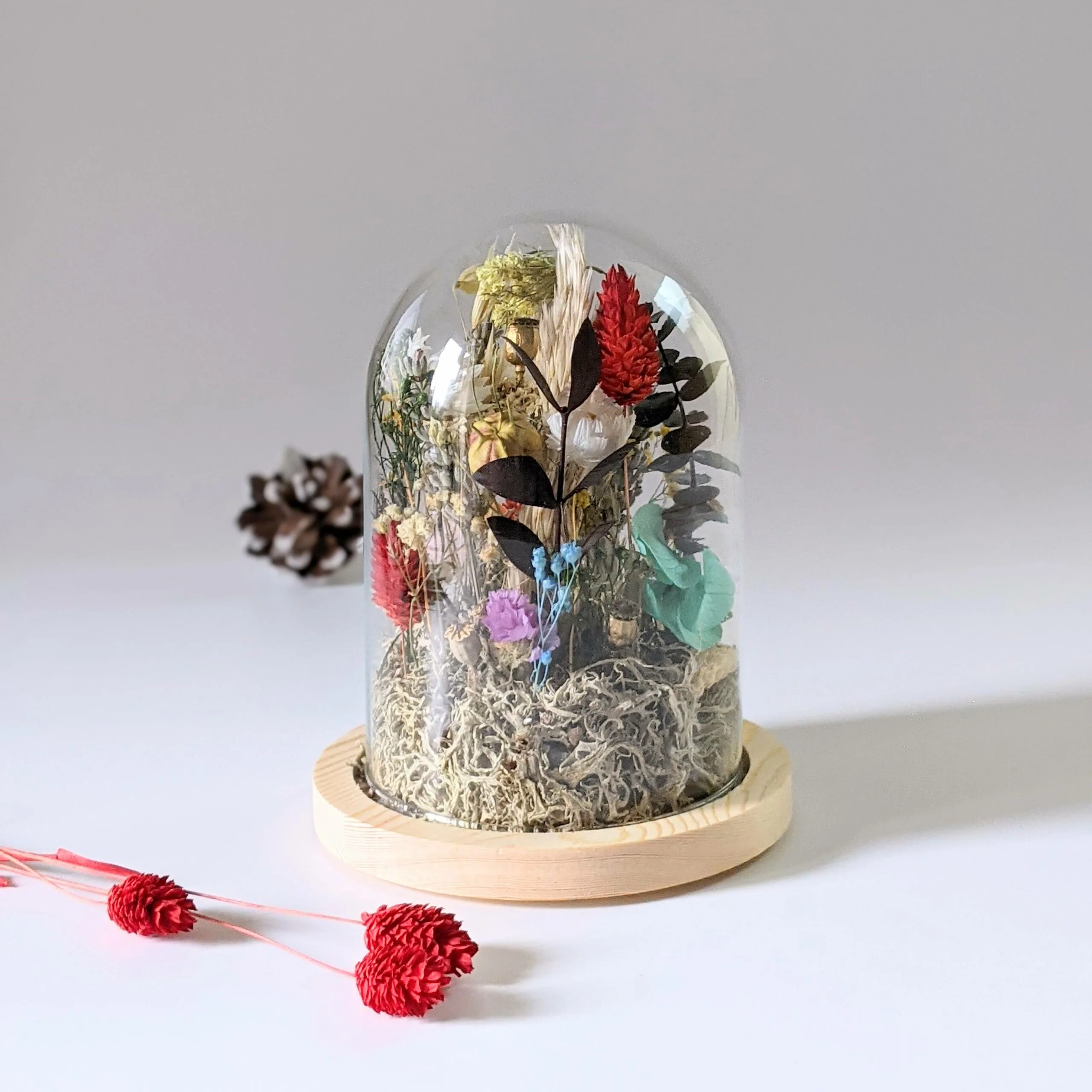 Cloche en verre avec fleurs séchées et préservées pour décoration d'intérieur ensoleillée, Paula – Image 3