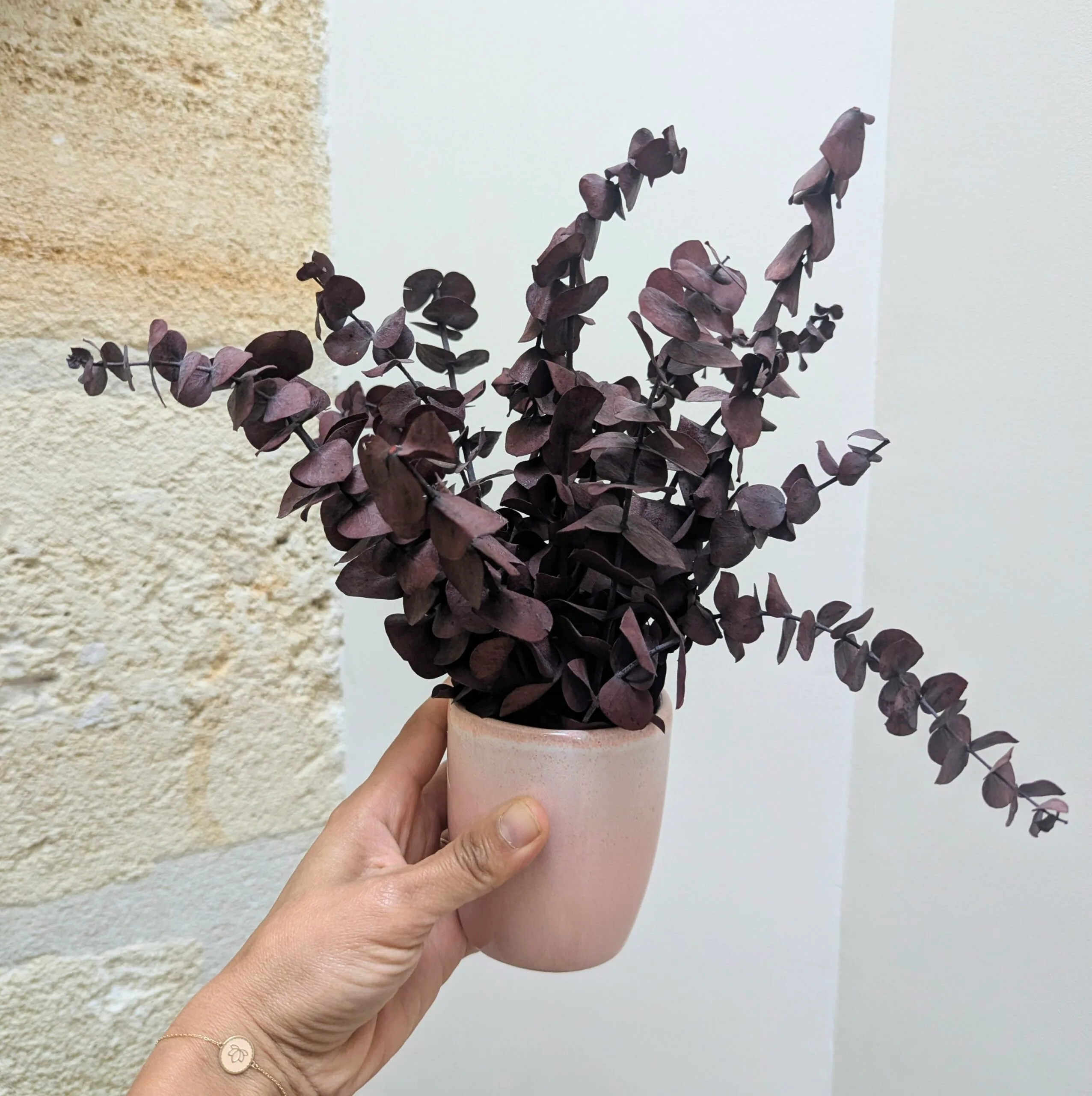 Composition d’eucalyptus baby stabilisé bordeaux, Rama – Image 3