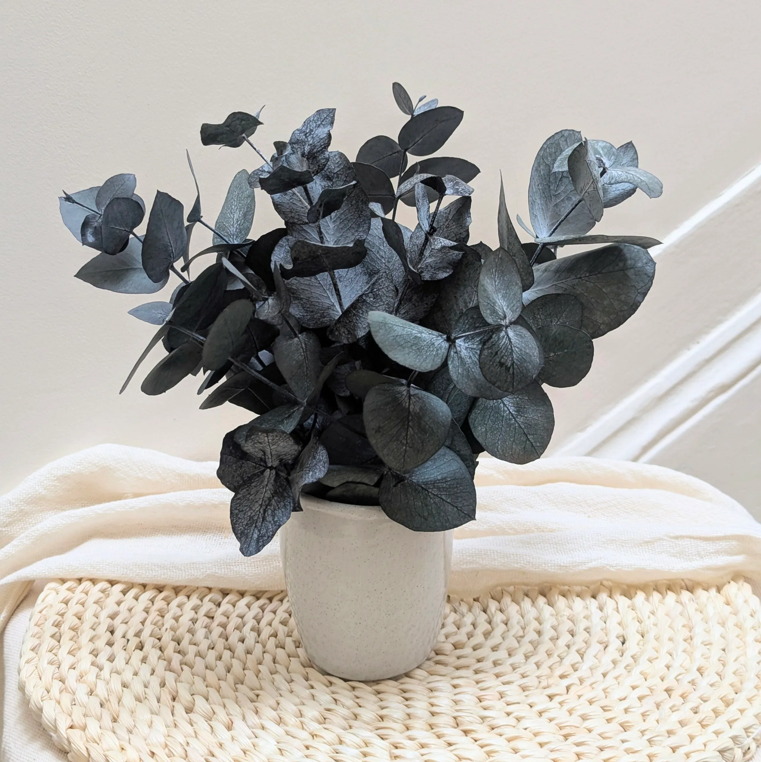 Composition d’eucalyptus cinerea stabilisé bleu, Judy