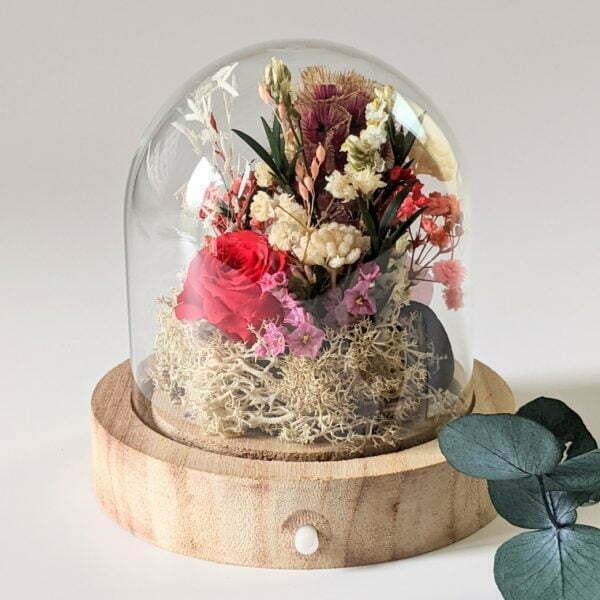 Mini cloche en verre avec fleurs séchées & fleurs stabilisées, décoration d’intérieur pour Noël, Gabrielle