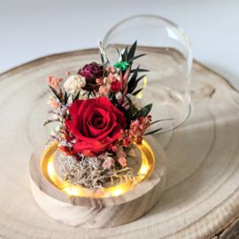 Mini cloche en verre avec fleurs séchées & fleurs stabilisées, décoration d'intérieur pour Noël, Gabrielle