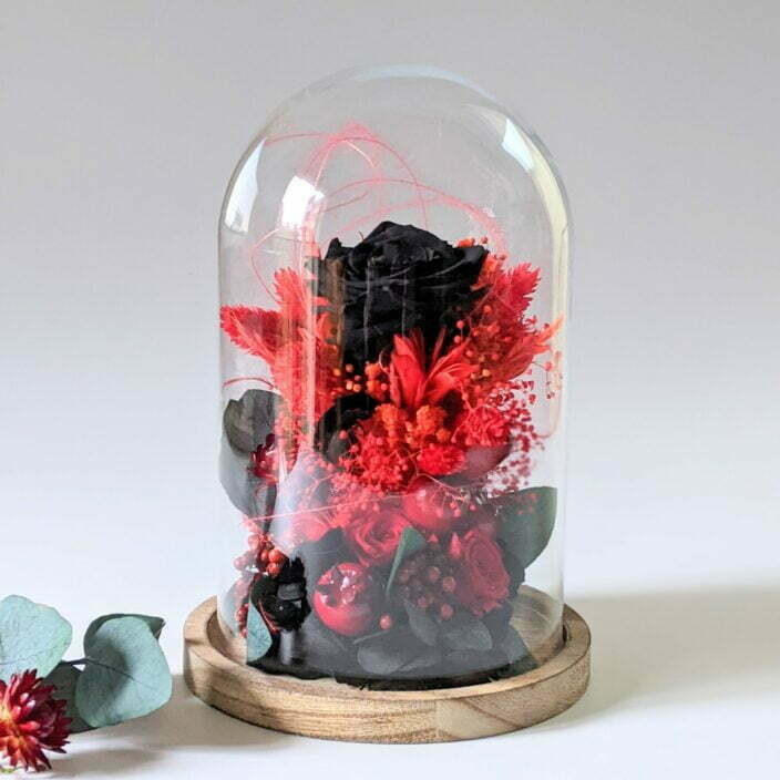 Cloche en verre et fleurs éternelles rouges et noires pour décoration d’intérieur, Dita 3