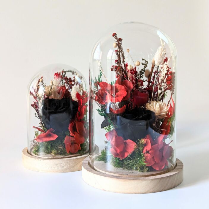 Cloche en verre et fleurs éternelles rouges et noires pour décoration d’intérieur, Dita