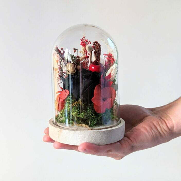 Cloche en verre et fleurs éternelles rouges et noires pour décoration d’intérieur, Dita 3