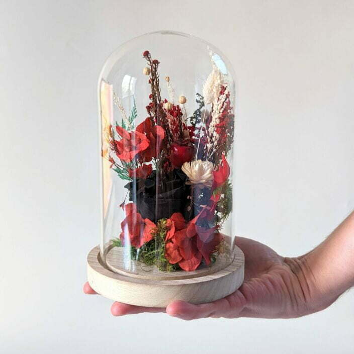 Cloche en verre et fleurs éternelles rouges et noires pour décoration d’intérieur, Dita 4