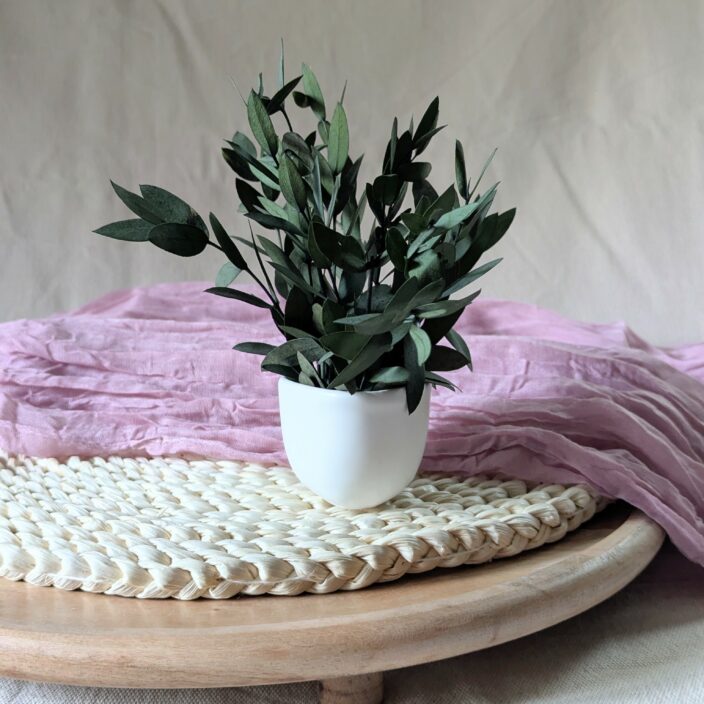 Mini composition minimaliste d’eucalyptus parvifolia vert, Clara – Image 4