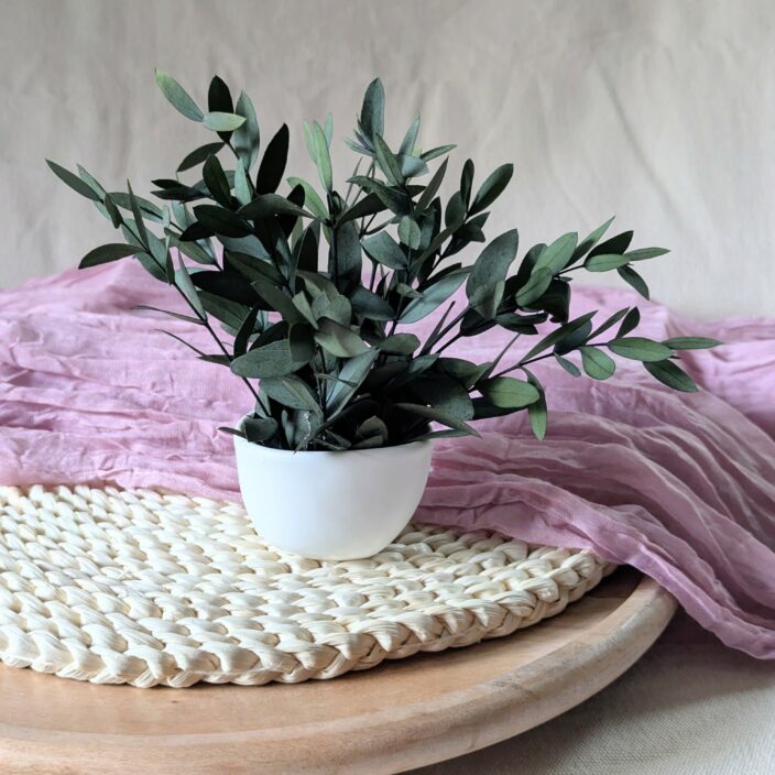 Mini composition minimaliste d’eucalyptus parvifolia vert, Clara – Image 3