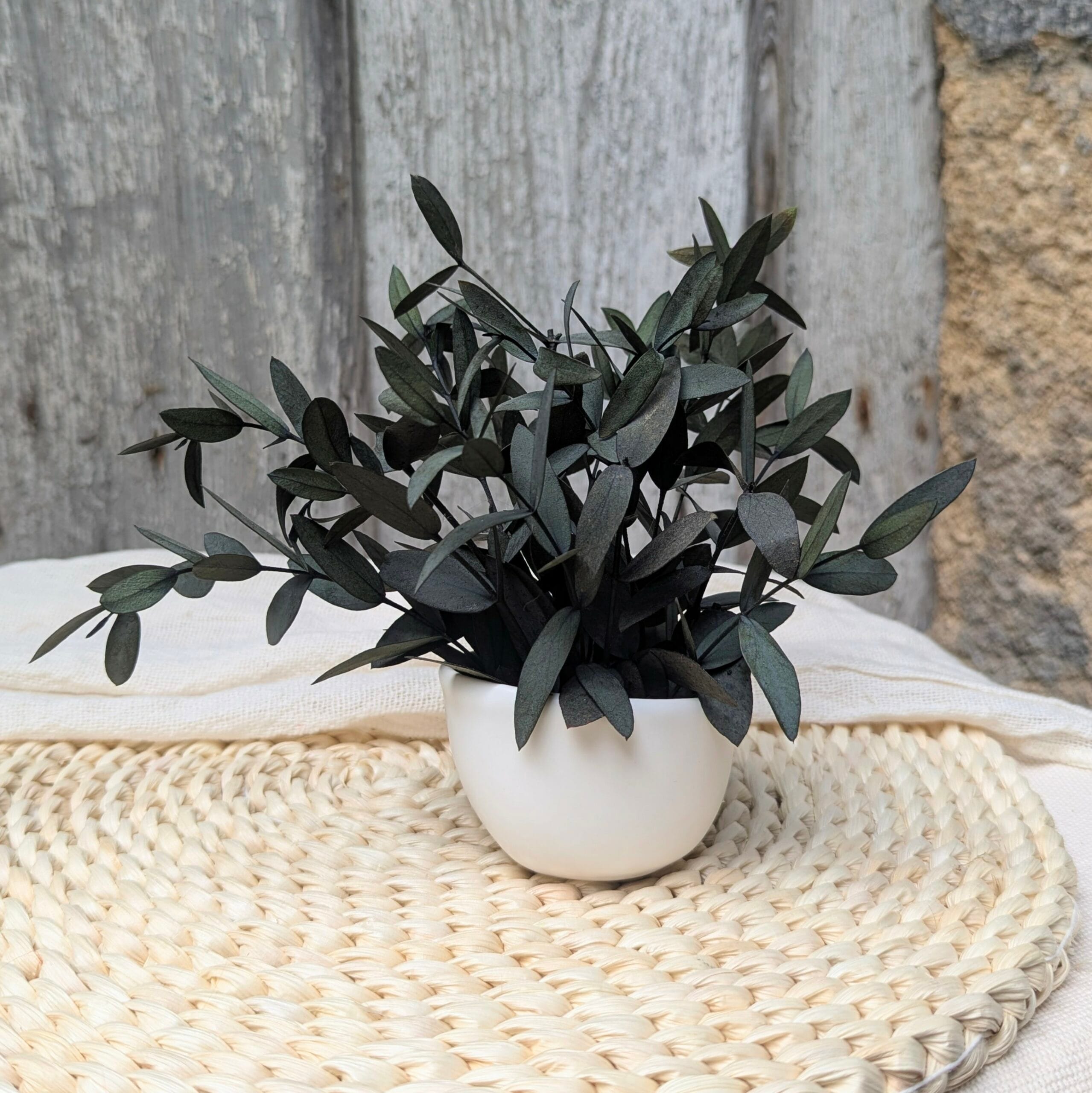 Mini composition minimaliste d’eucalyptus parvifolia vert, Clara – Image 2