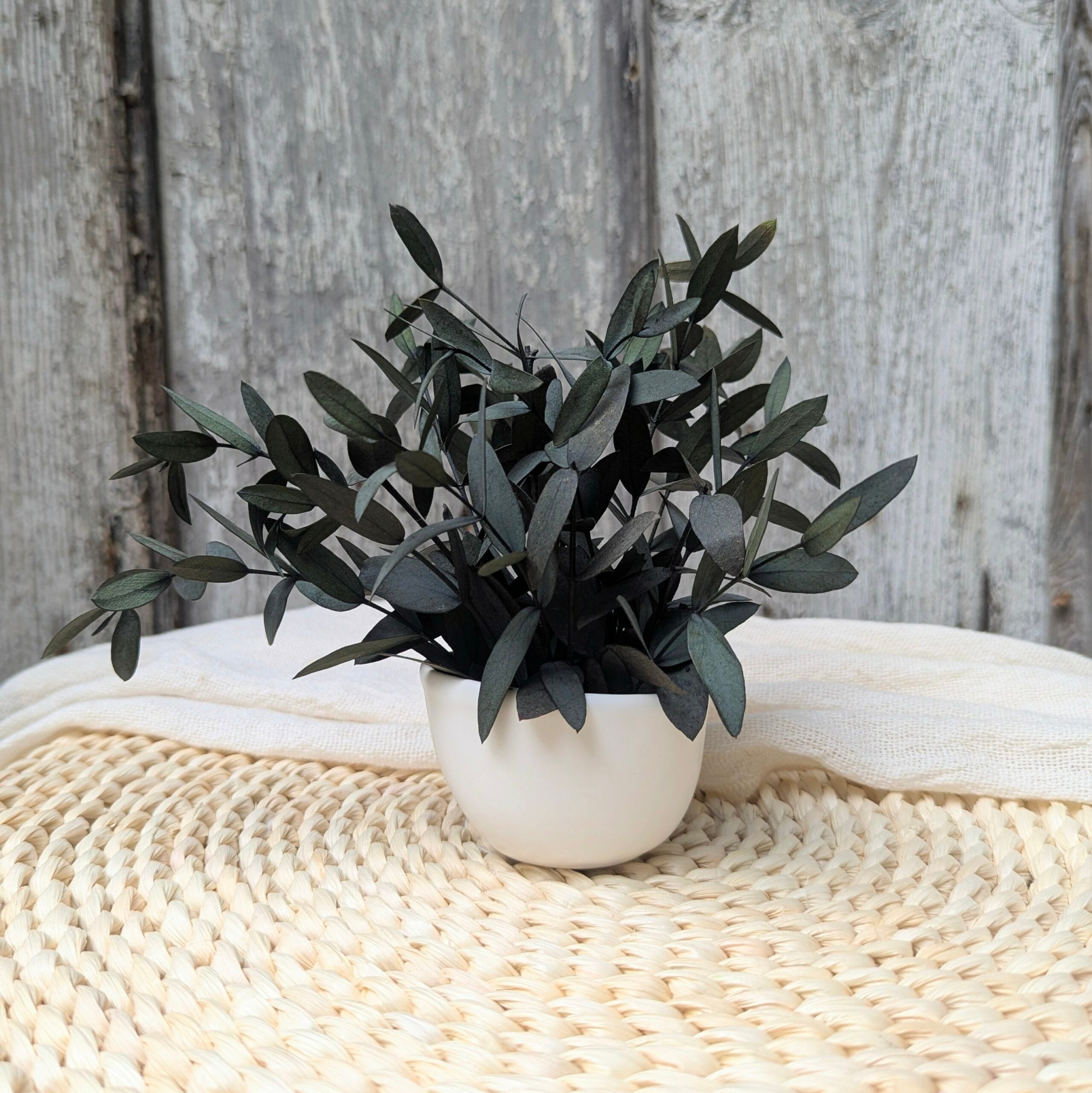 Mini composition minimaliste d’eucalyptus parvifolia vert, Clara – Image 4