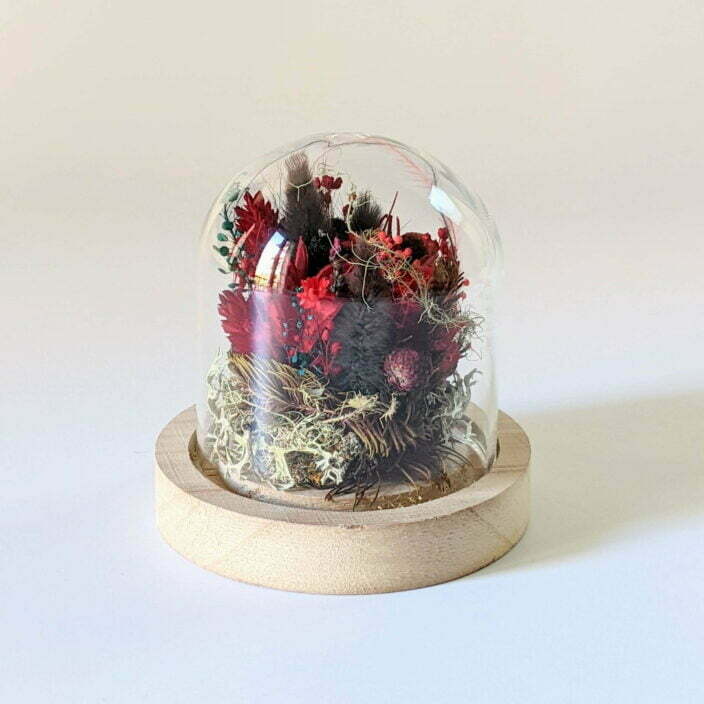 Cloche en verre et rose éternelle rouge pour décoration d’intérieur, Amor 3