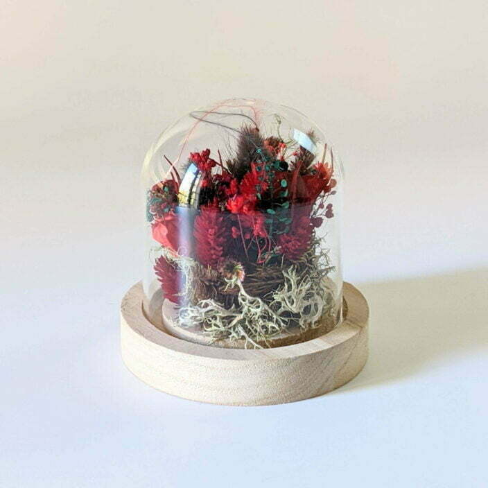 Cloche en verre et rose éternelle rouge pour décoration d’intérieur, Amor 2