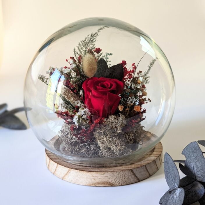 Cloche en verre et rose éternelle rouge pour décoration d’intérieur, Amor