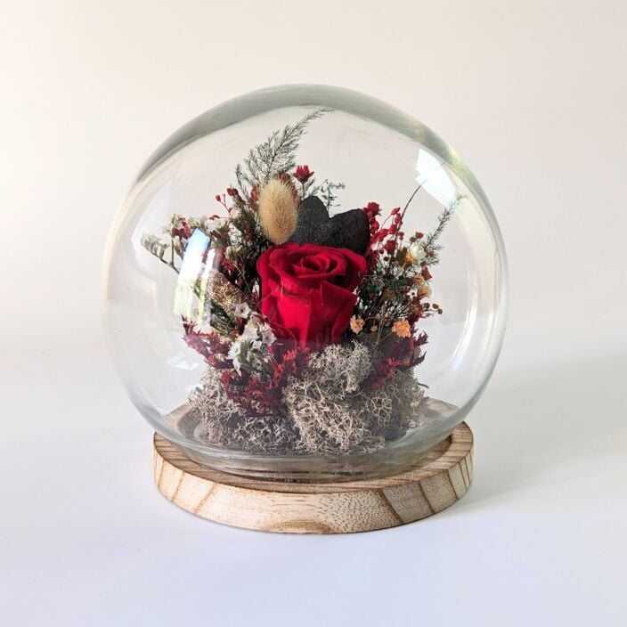 Cloche en verre et rose éternelle rouge pour décoration d’intérieur, Amor 2