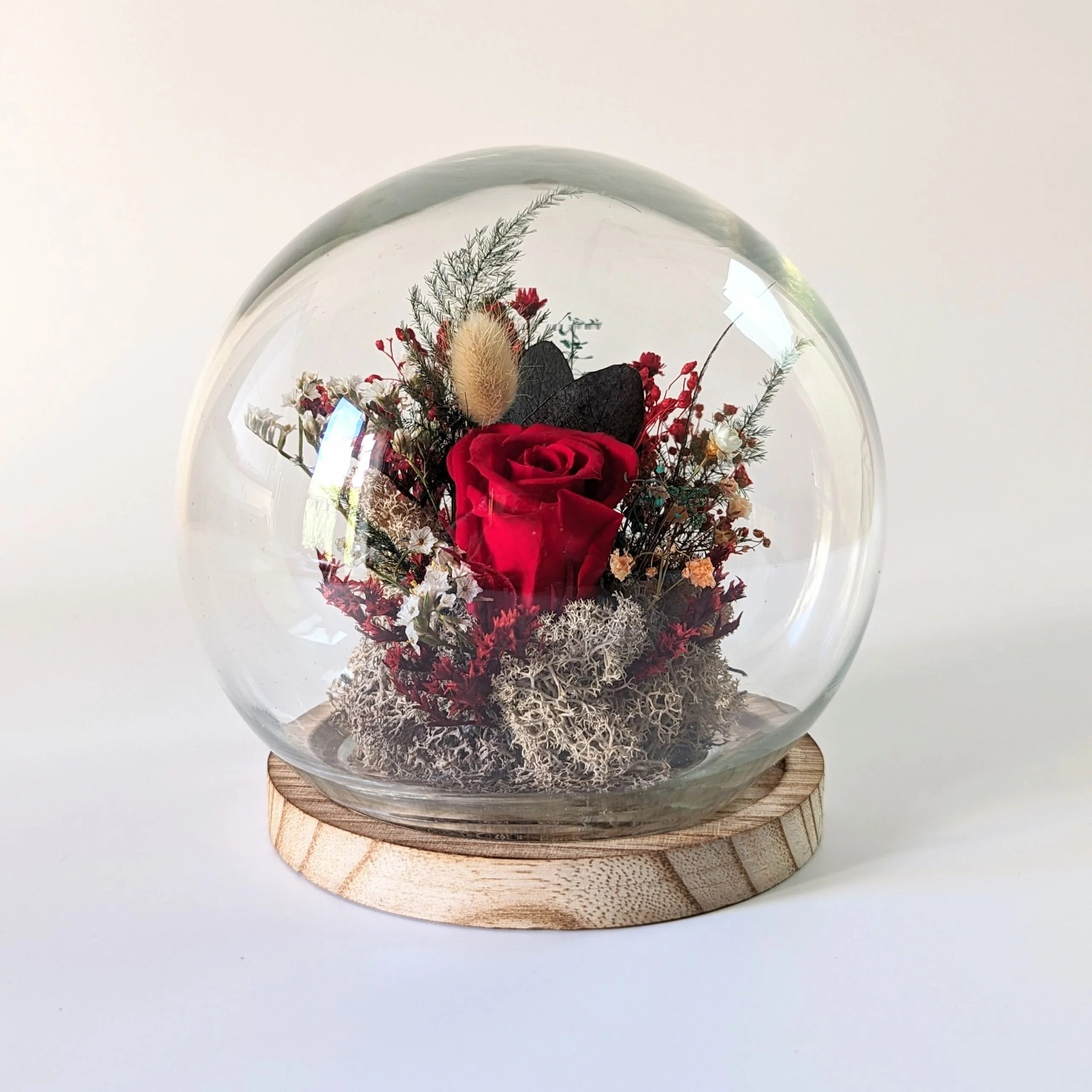 Cloche en verre et rose éternelle rouge pour décoration d’intérieur, Amor – Image 2