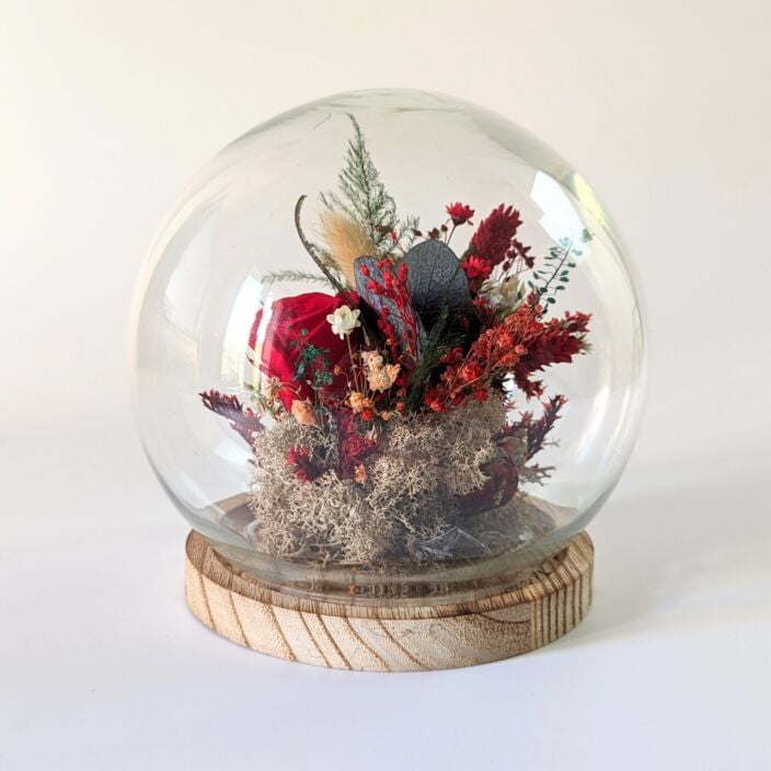 Cloche en verre et rose éternelle rouge pour décoration d’intérieur, Amor 3