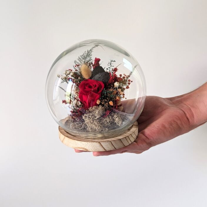 Cloche en verre et rose éternelle rouge pour décoration d’intérieur, Amor 4