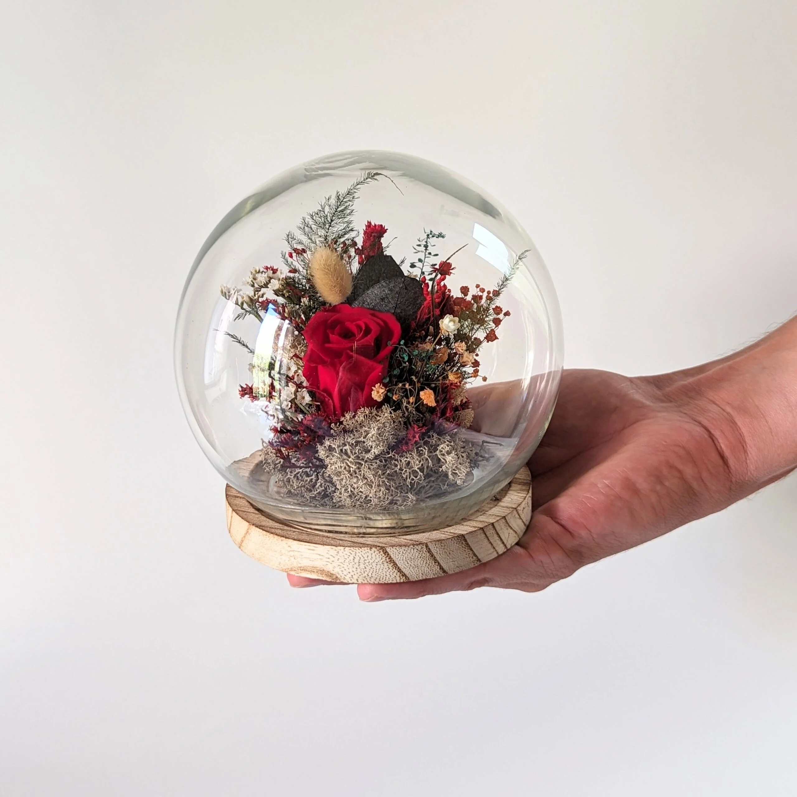 Cloche en verre et rose éternelle rouge pour décoration d’intérieur, Amor – Image 4